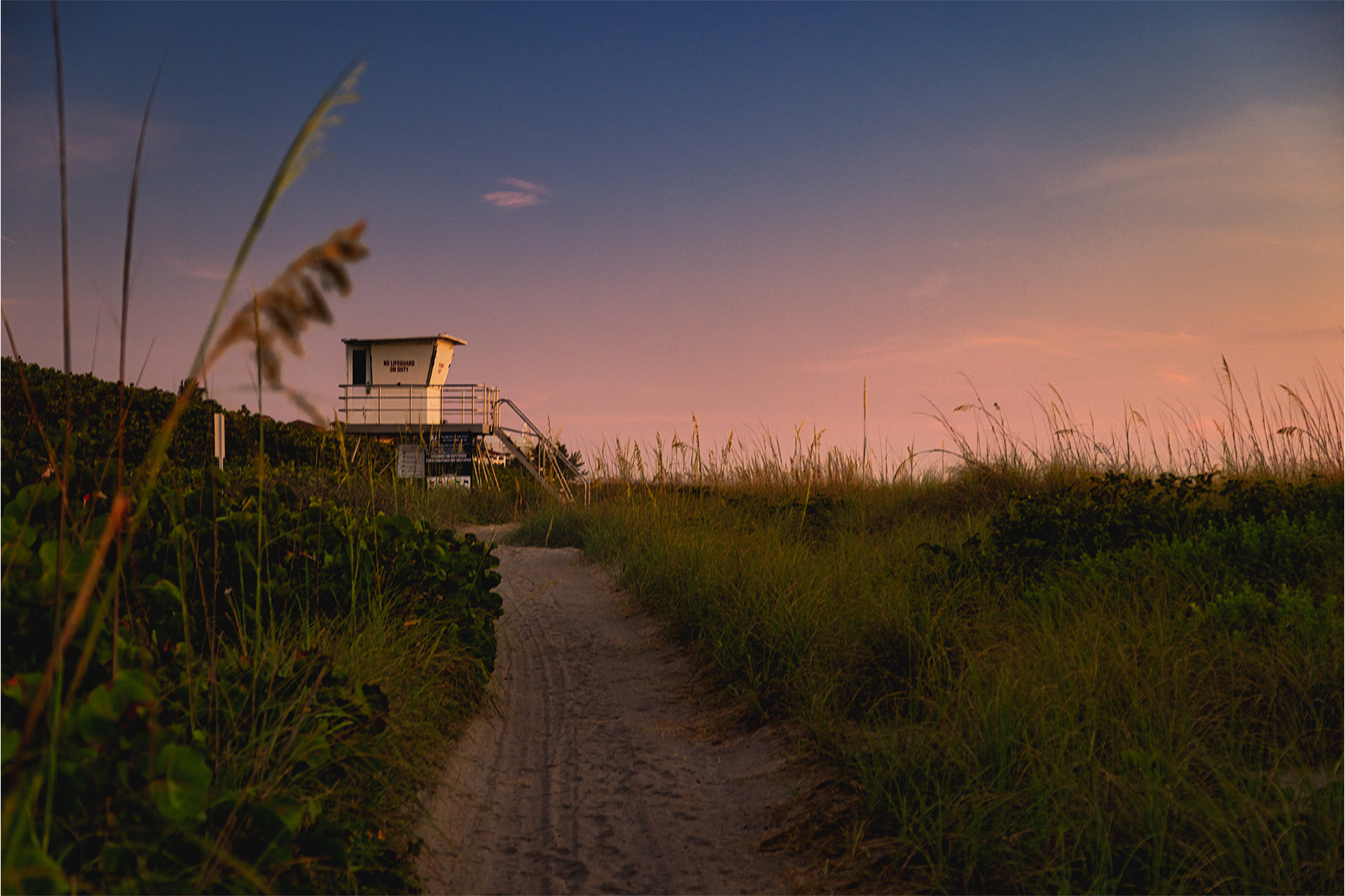 beach sunrise in florida
